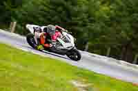 Brno;event-digital-images;motorbikes;no-limits;peter-wileman-photography;trackday;trackday-digital-images